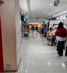 Lucky Plaza (D9), Shop House #559253451